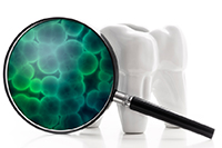 How Does Plaque Affect Teeth' Well-Being?