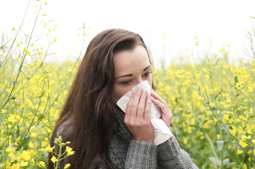 Some Allergies Your Teeth May Factor Into